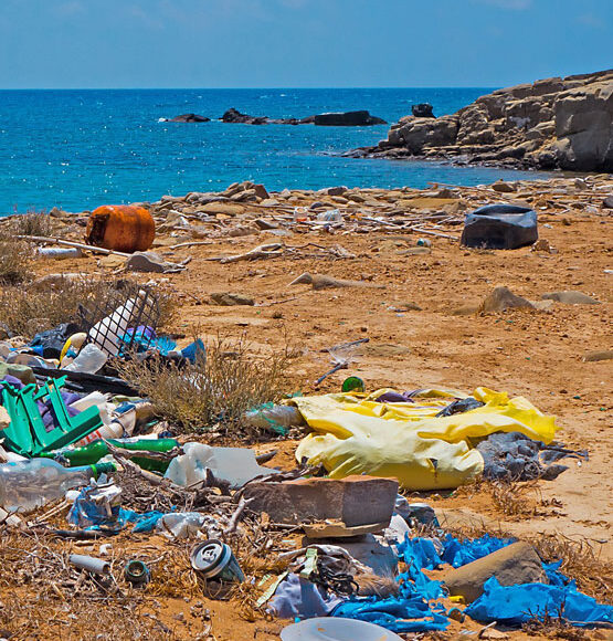 international coastal cleanup