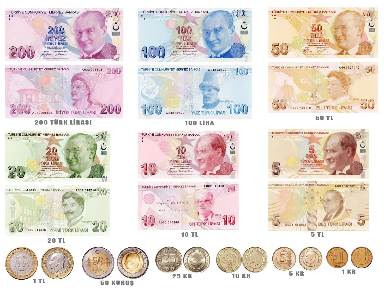 turkish currency turkish lira banknotes and coins