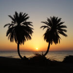 egypt sinai peninsula dahab sunrise