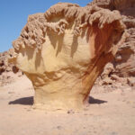 egypt sinai white canyon mushroom rock