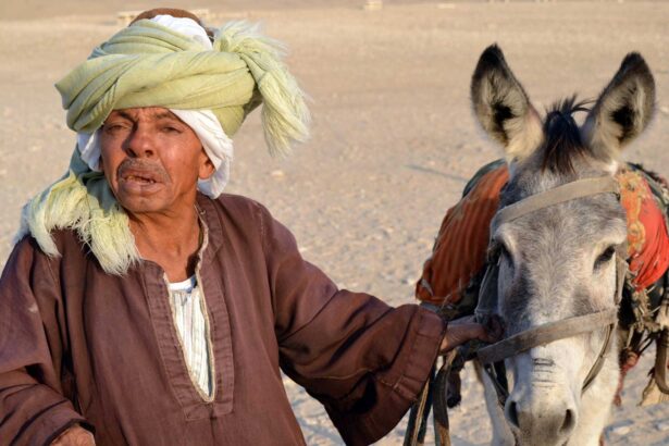 egyptian arabic for beginners
